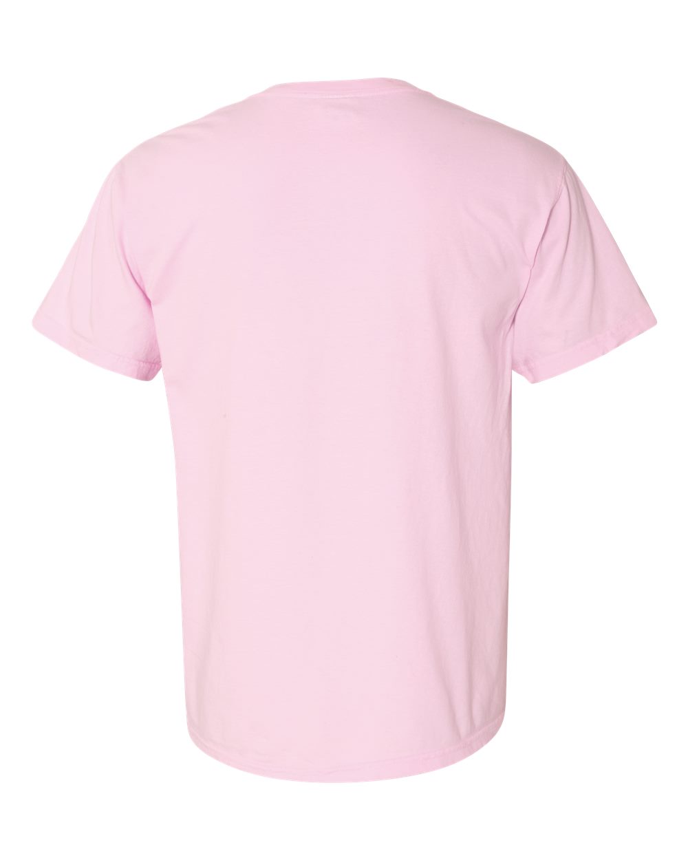 Just a Strong Goose Tee
