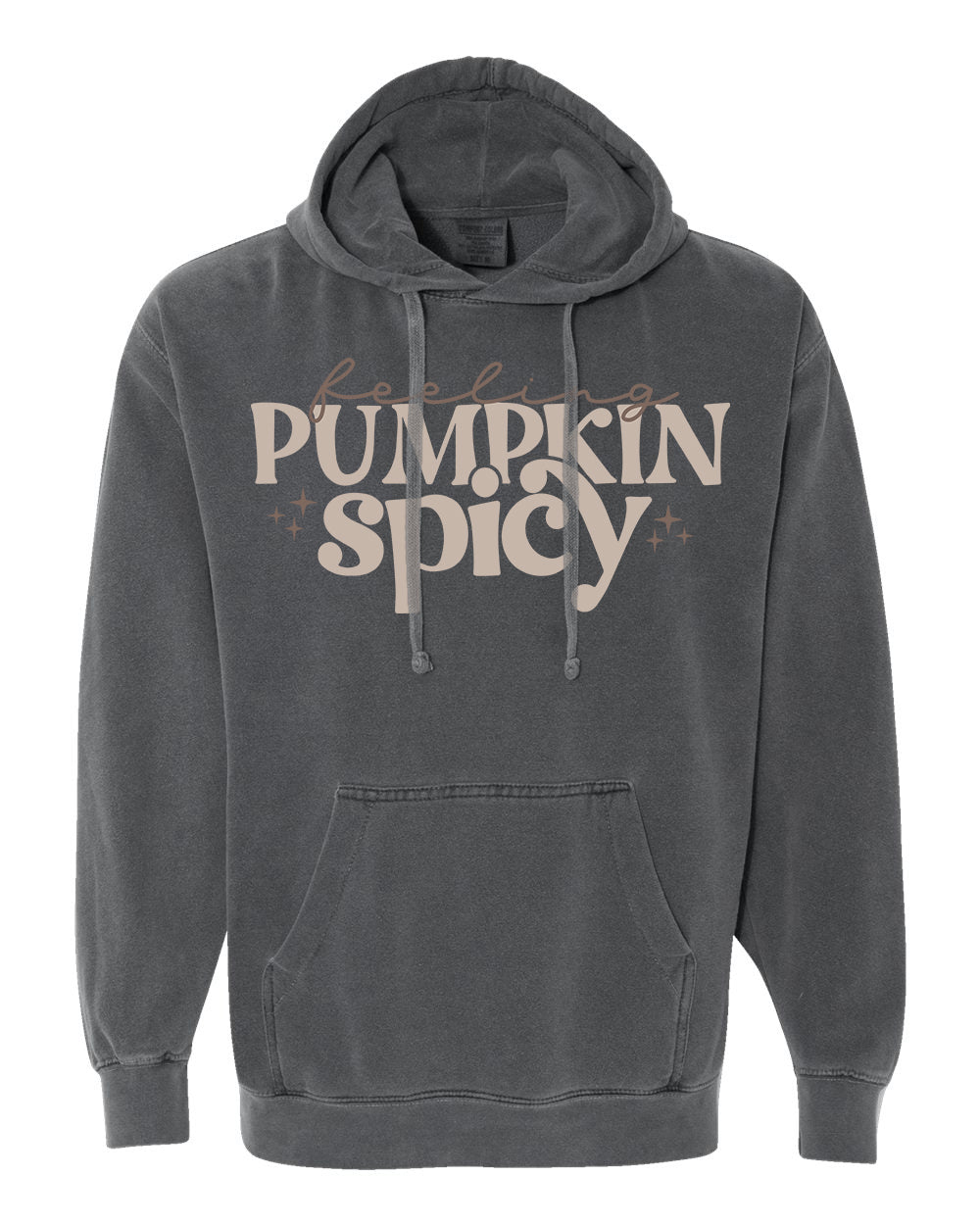 Feeling Pumpkin Spicy Hoodie