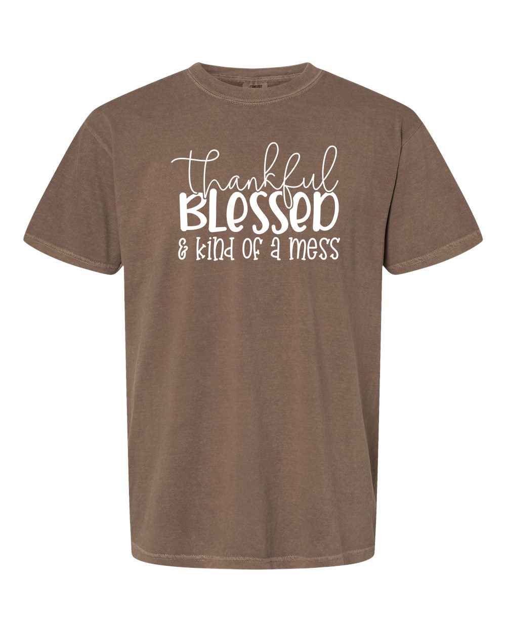 Thankful, Blessed & Kind of a Mess T-Shirt