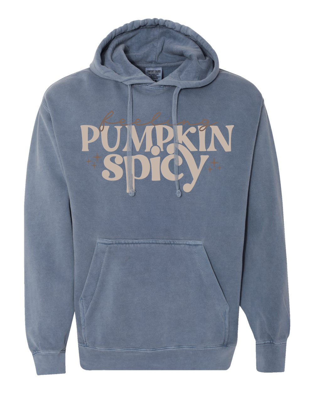 Feeling Pumpkin Spicy Hoodie