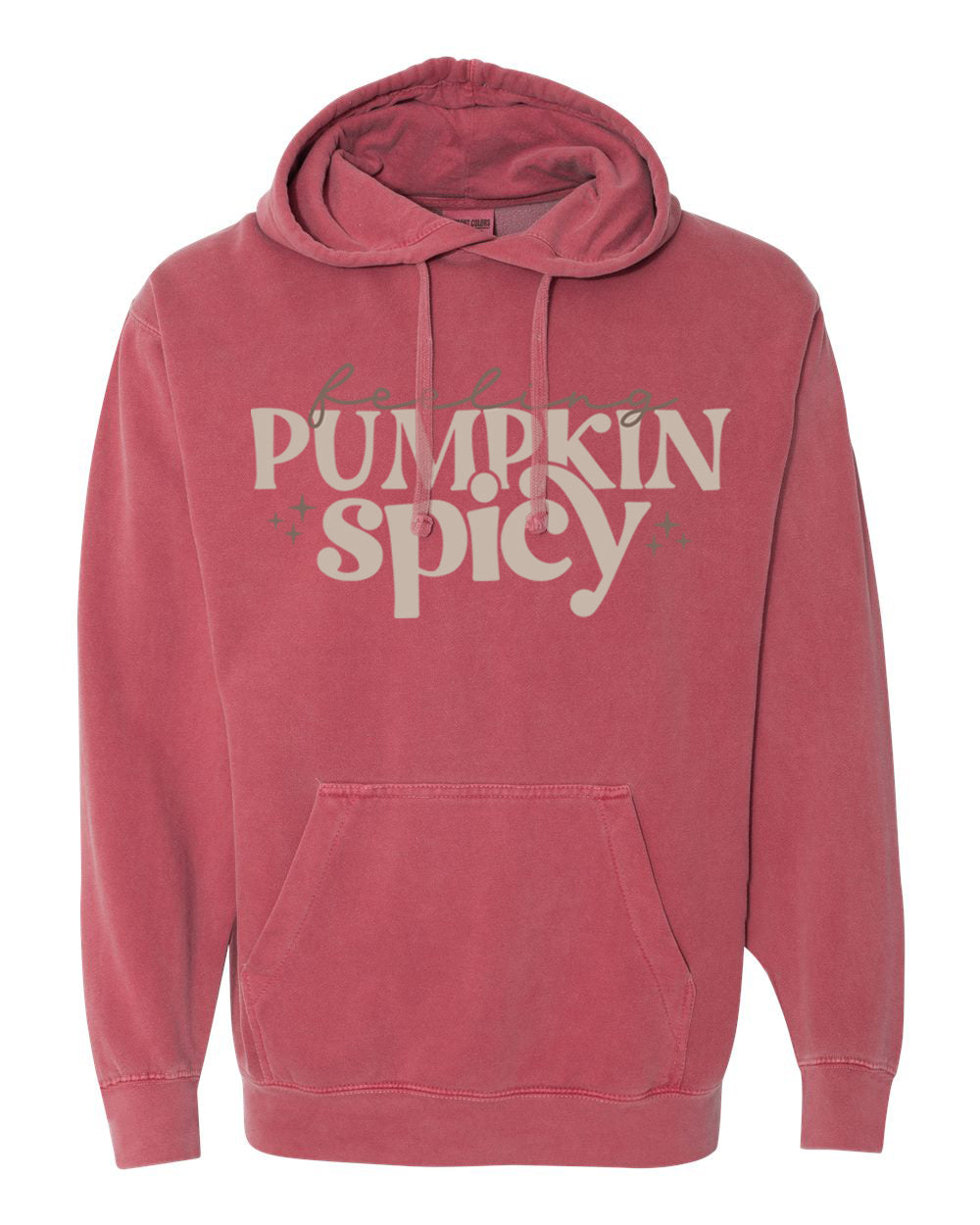 Feeling Pumpkin Spicy Hoodie